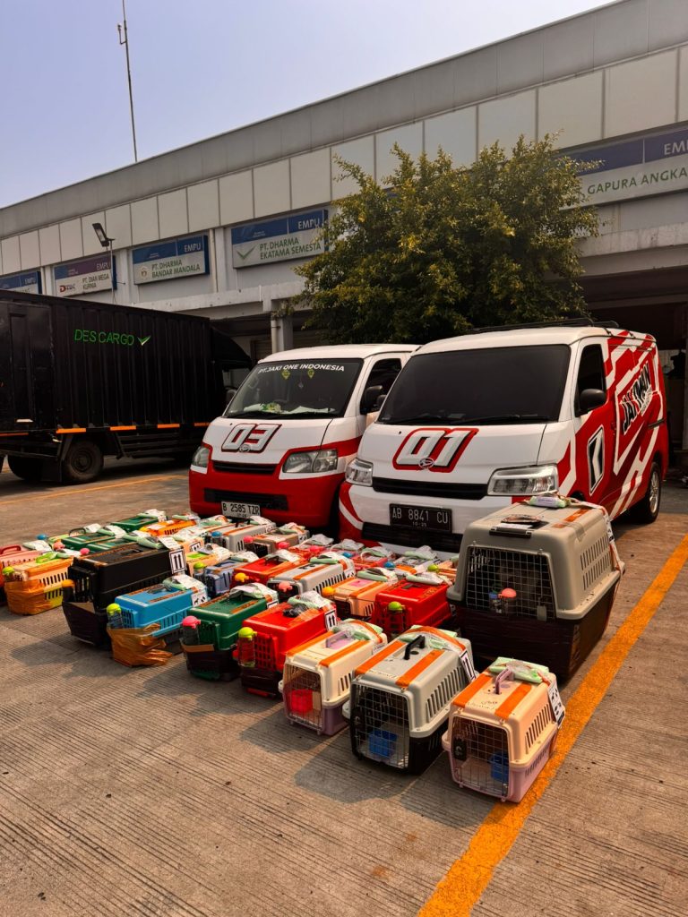 Standar Operasional Jakiwan Pet Travel